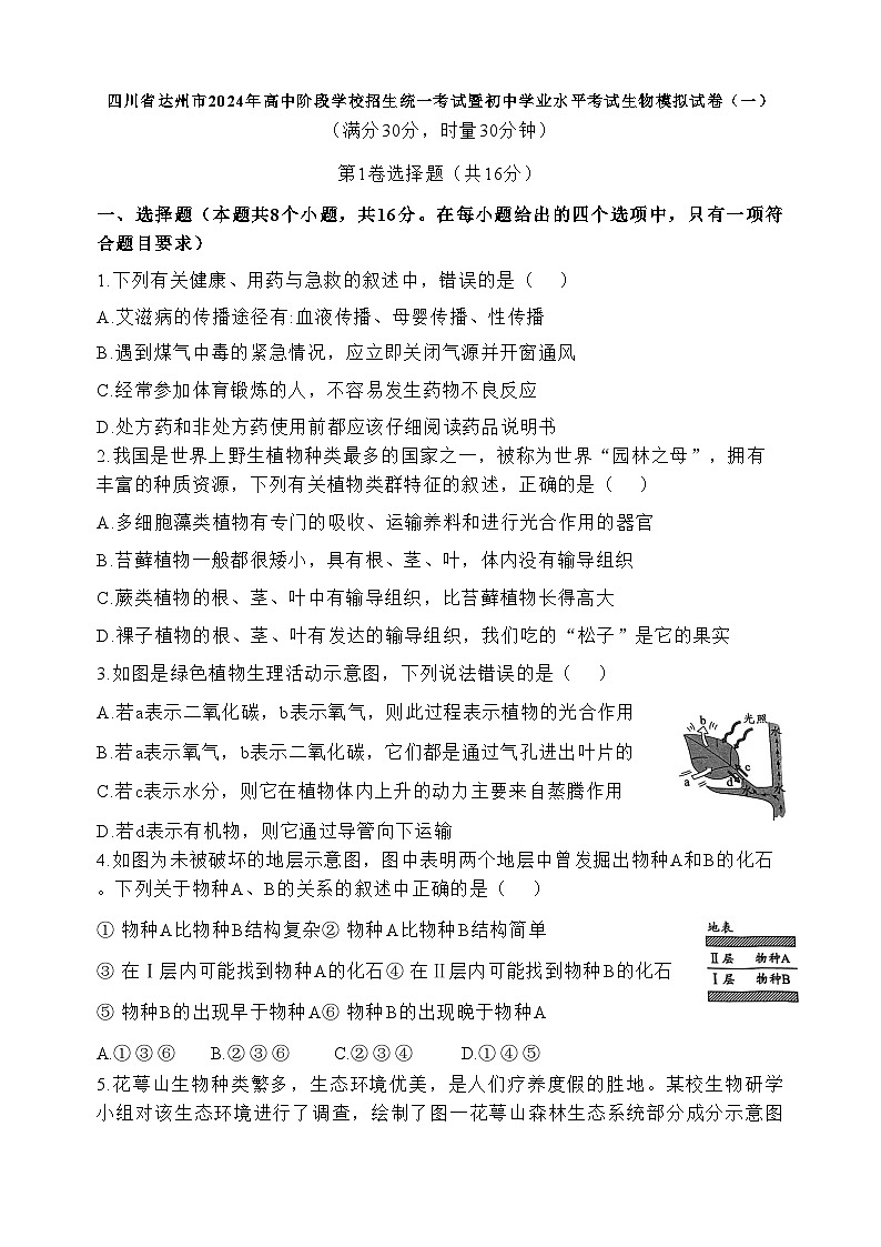 2024年四川省达州市高中阶段学校招生统一考试暨初中学业水平考试生物模拟试卷（一）01