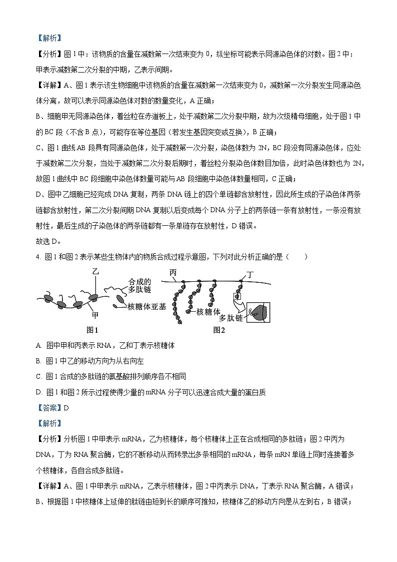 河南省郑州市中牟县第一高级中学2023-2024学年高一下学期5月月考生物试题（原卷版+解析版）03