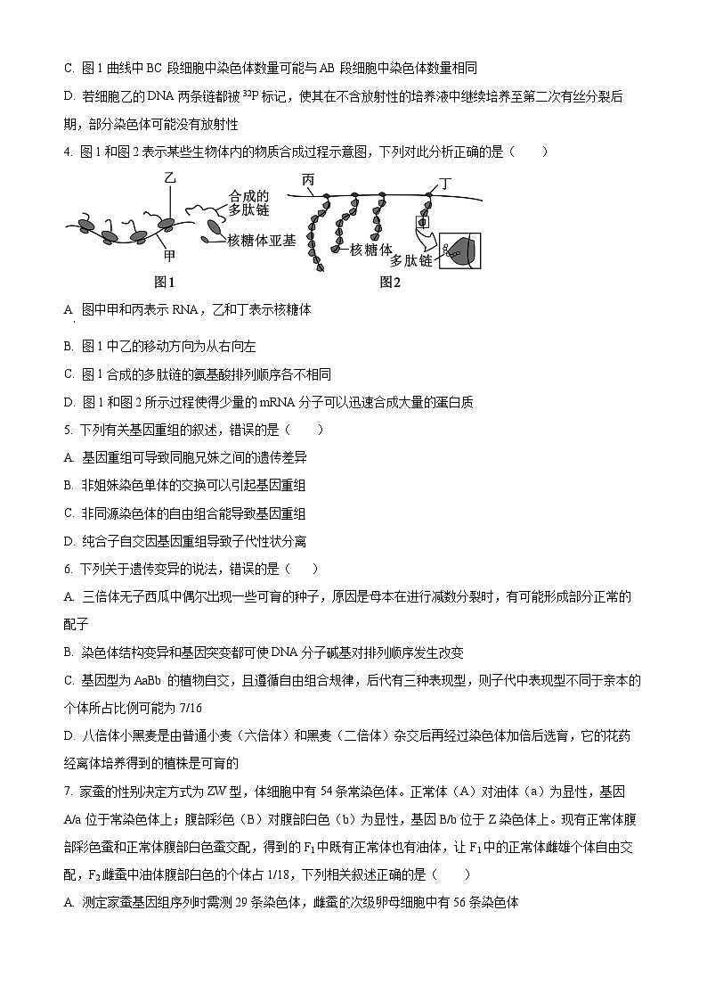 河南省郑州市中牟县第一高级中学2023-2024学年高一下学期5月月考生物试题（原卷版+解析版）02