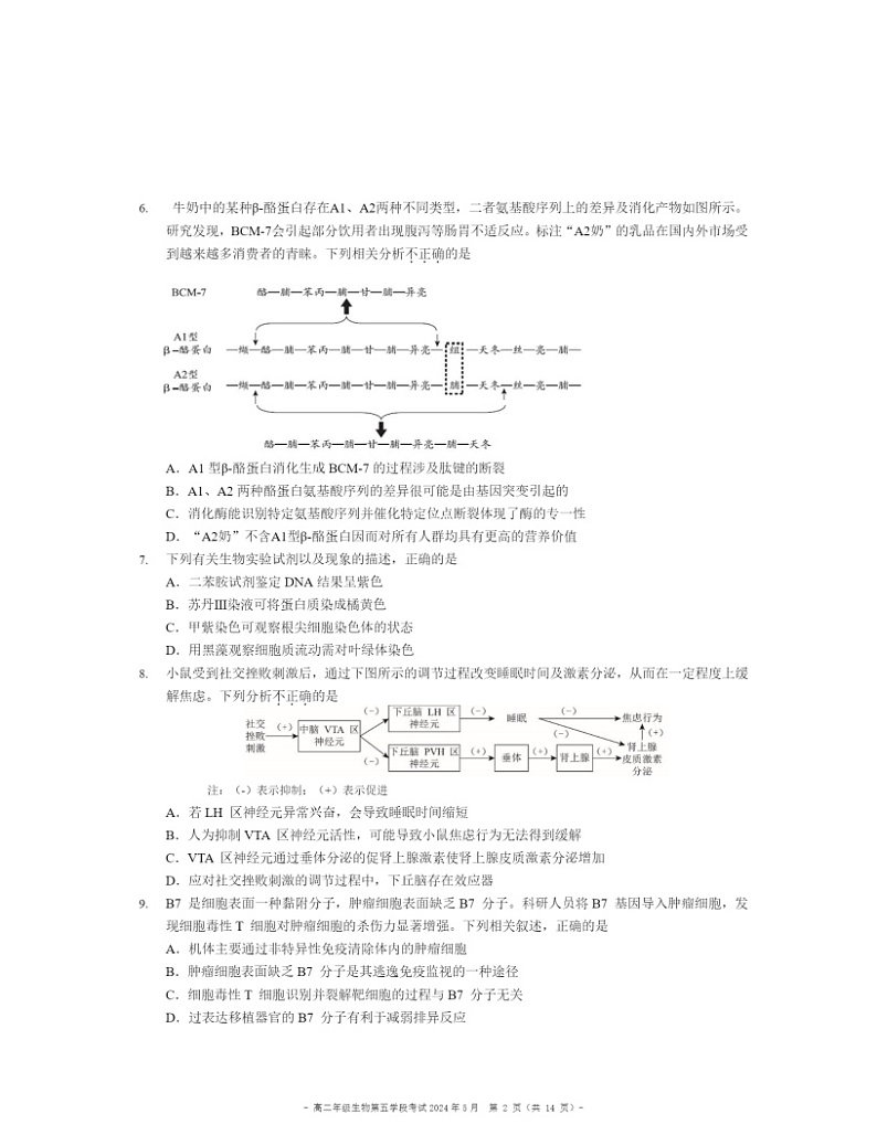 2024北京二中高二下学期段考五生物试卷 （无答案）月考第2页