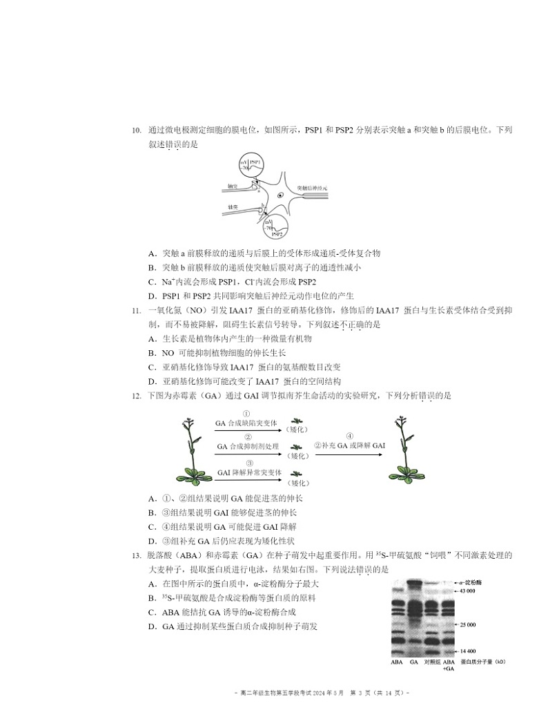 2024北京二中高二下学期段考五生物试卷 （无答案）月考第3页