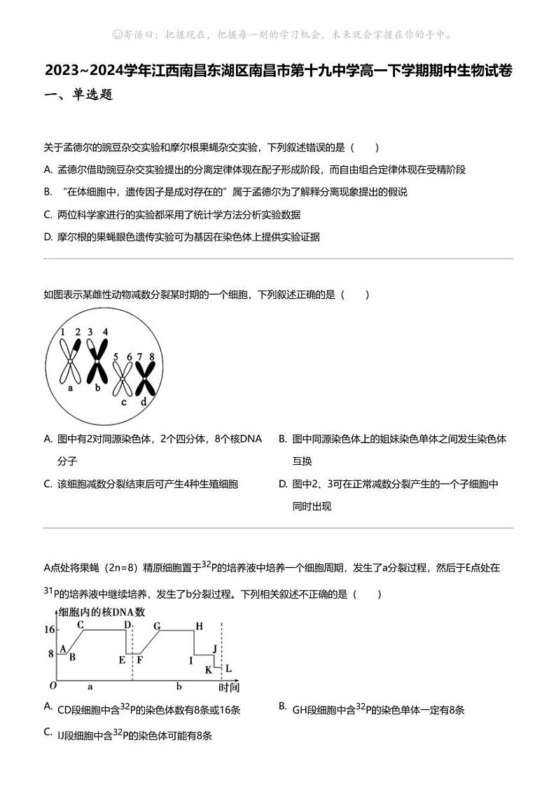 2023_2024学年江西南昌东湖区南昌市第十九中学高一下学期期中生物试卷01