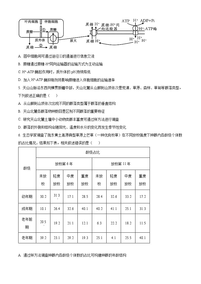 2024届湖南省长沙市一中高三下学期模拟试卷（二）生物试题（原卷版+解析版）02