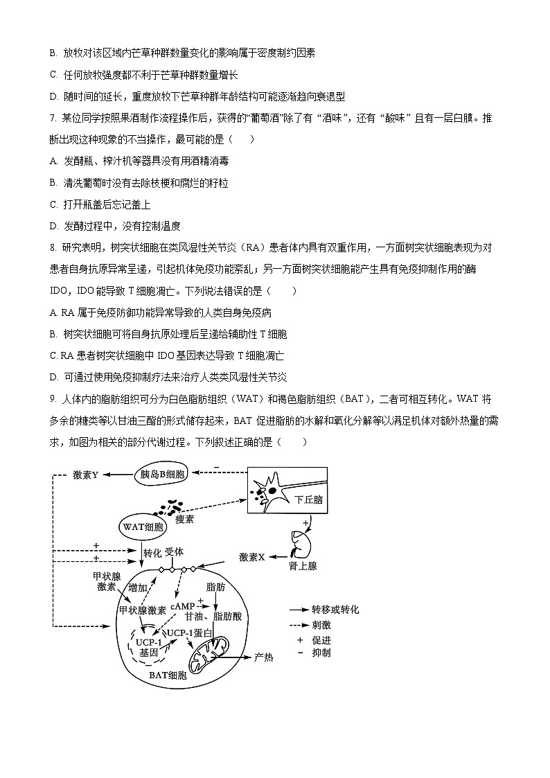 2024届湖南省长沙市一中高三下学期模拟试卷（二）生物试题（原卷版+解析版）03