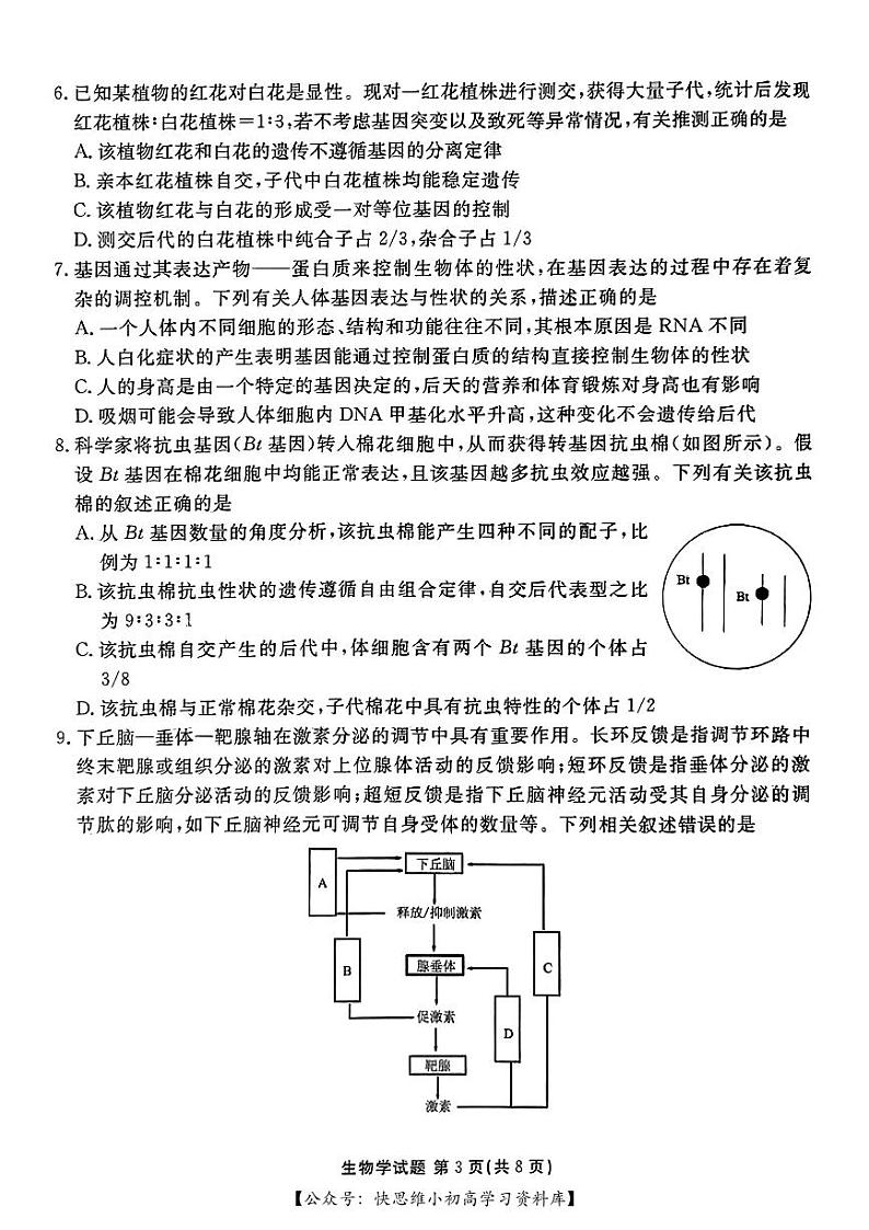 合肥一六八中学2024届高三最后一卷生物试卷及参考答案03