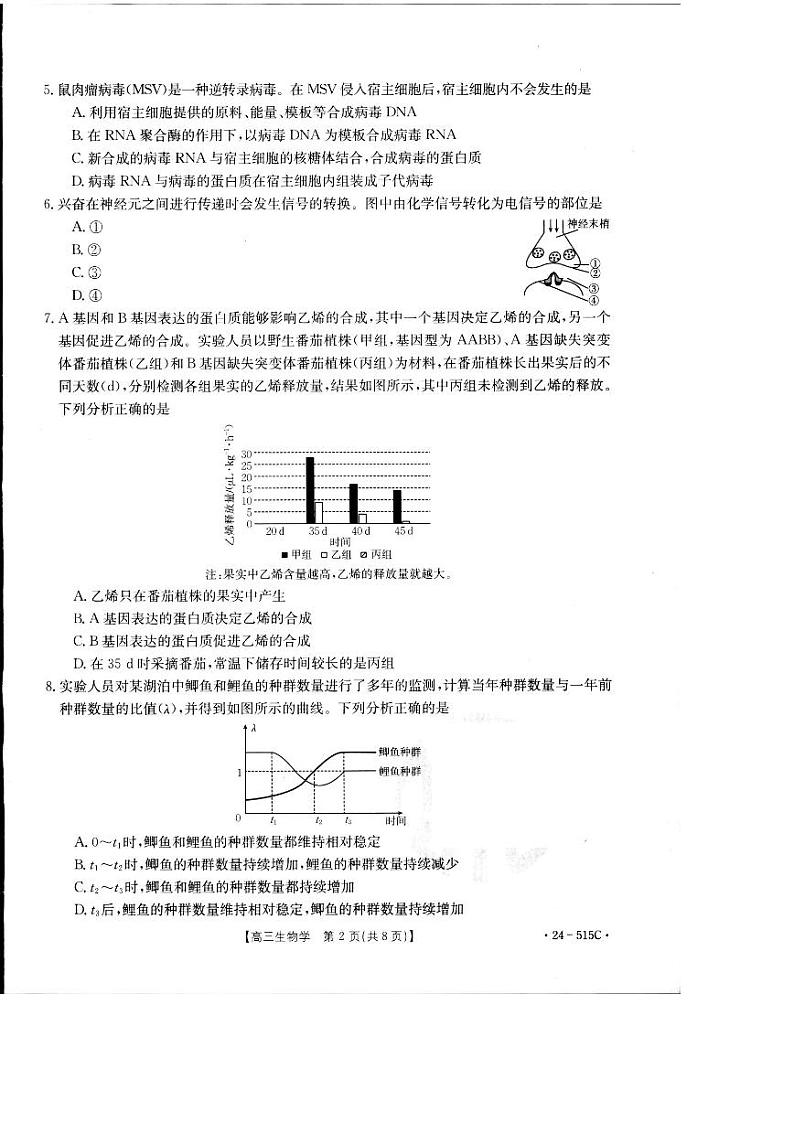 2024届江西省部分学校高三下学期5月第一次适应性考试大联考生物第2页