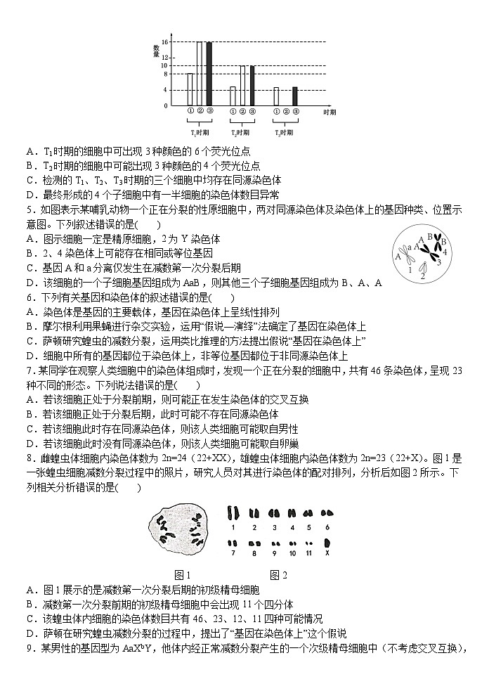 江苏省扬州中学2023-2024学年高一下学期5月月考生物试题02