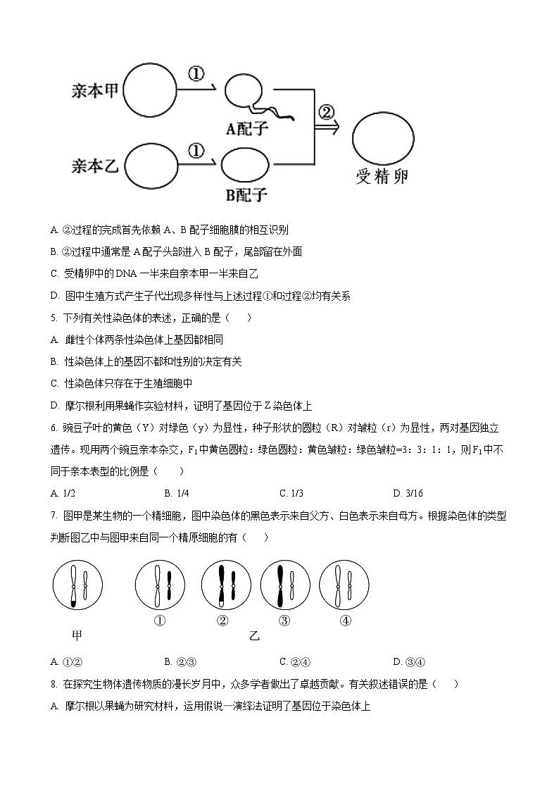 广东省东莞市七校联考2023-2024学年高一下学期5月月考生物试题（原卷版+解析版）02