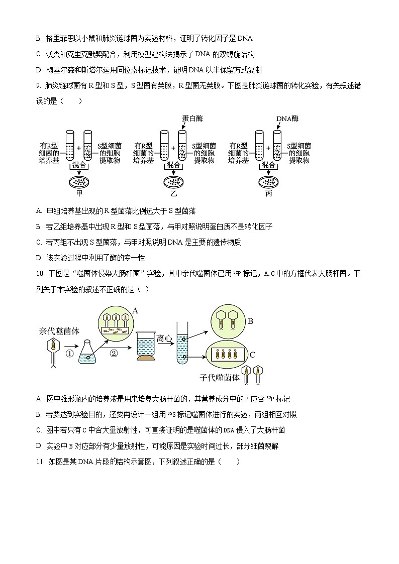 广东省东莞市七校联考2023-2024学年高一下学期5月月考生物试题（原卷版+解析版）03