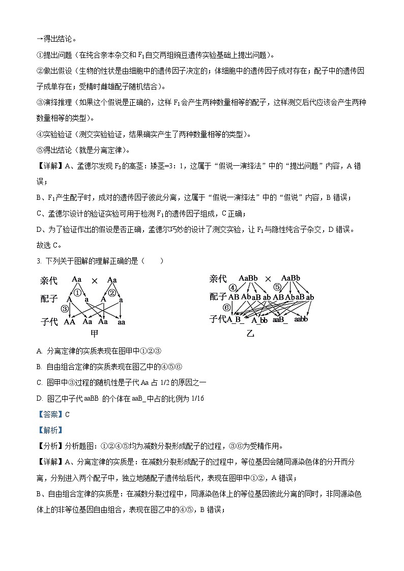 广东省东莞市七校联考2023-2024学年高一下学期5月月考生物试题（原卷版+解析版）02