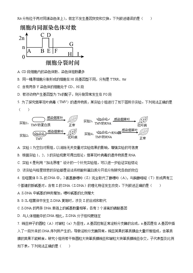 山东省临沂市罗庄区第十八中学2023-2024学年高一下学期五月份阶段性测试生物试题02