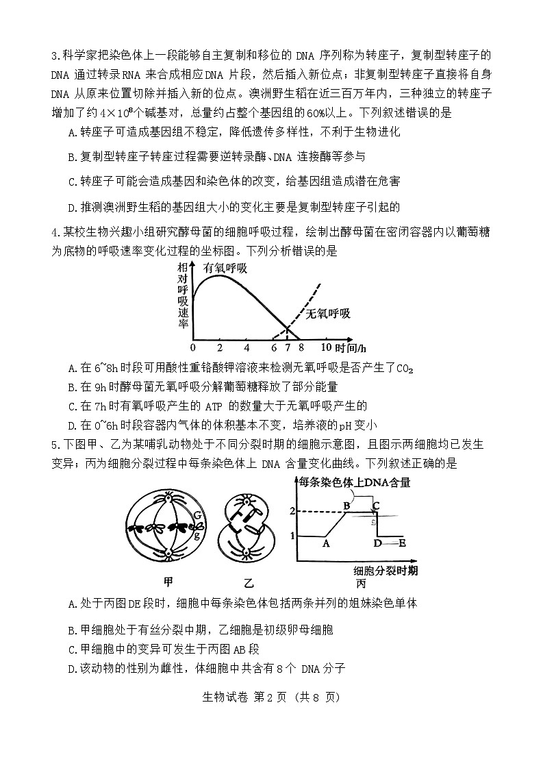 2024届重庆市九龙坡区高三下学期5月第三次学业质量检测考试生物试题第2页
