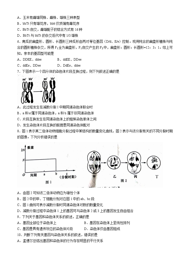 甘肃武威天祝一中、民勤一中2023-2024学年高一下学期5月期中联考生物试题（Word版附答案）第2页