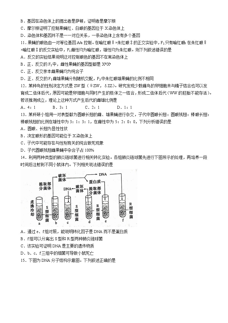 甘肃武威天祝一中、民勤一中2023-2024学年高一下学期5月期中联考生物试题（Word版附答案）第3页