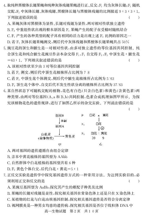 山东省济宁市兖州区2023-2024学年高一下学期期中考试生物试题（PDF版附答案）02