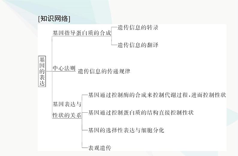 高中生物学业水平合格性考试复习专题八基因的表达课件02