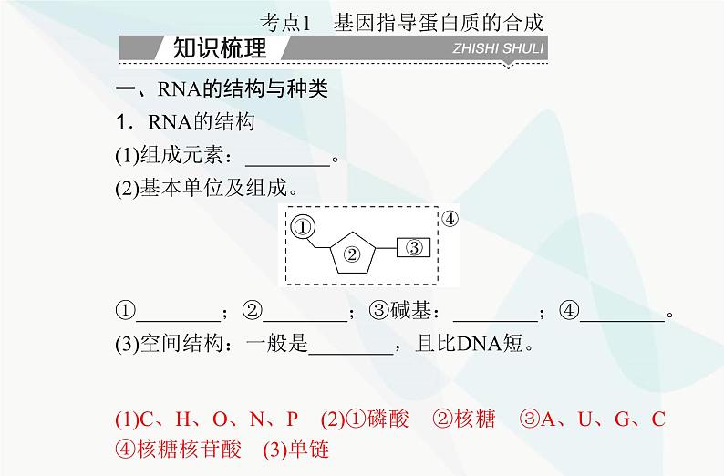 高中生物学业水平合格性考试复习专题八基因的表达课件03