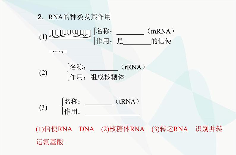 高中生物学业水平合格性考试复习专题八基因的表达课件04