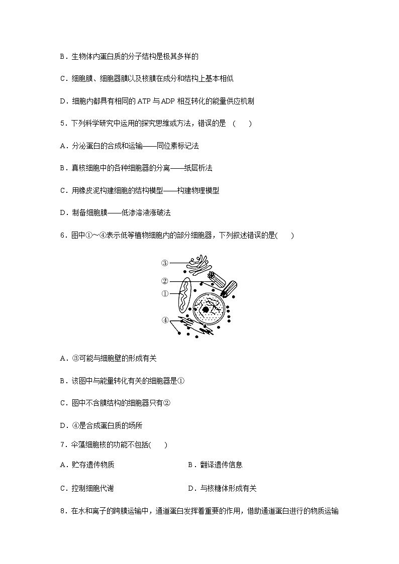 高中生物学业水平合格性考试模拟测试卷(四)含答案02