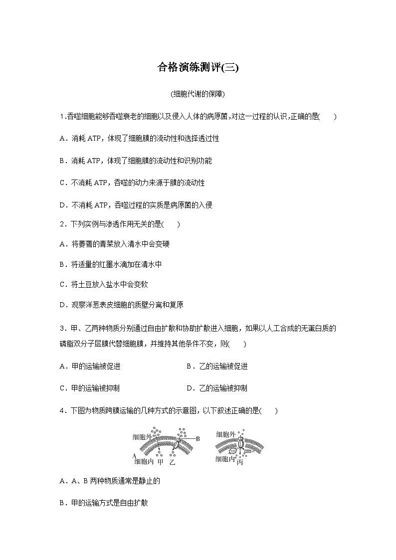 普通高中生物学业水平合格性考试合格演练测评(三)含答案01