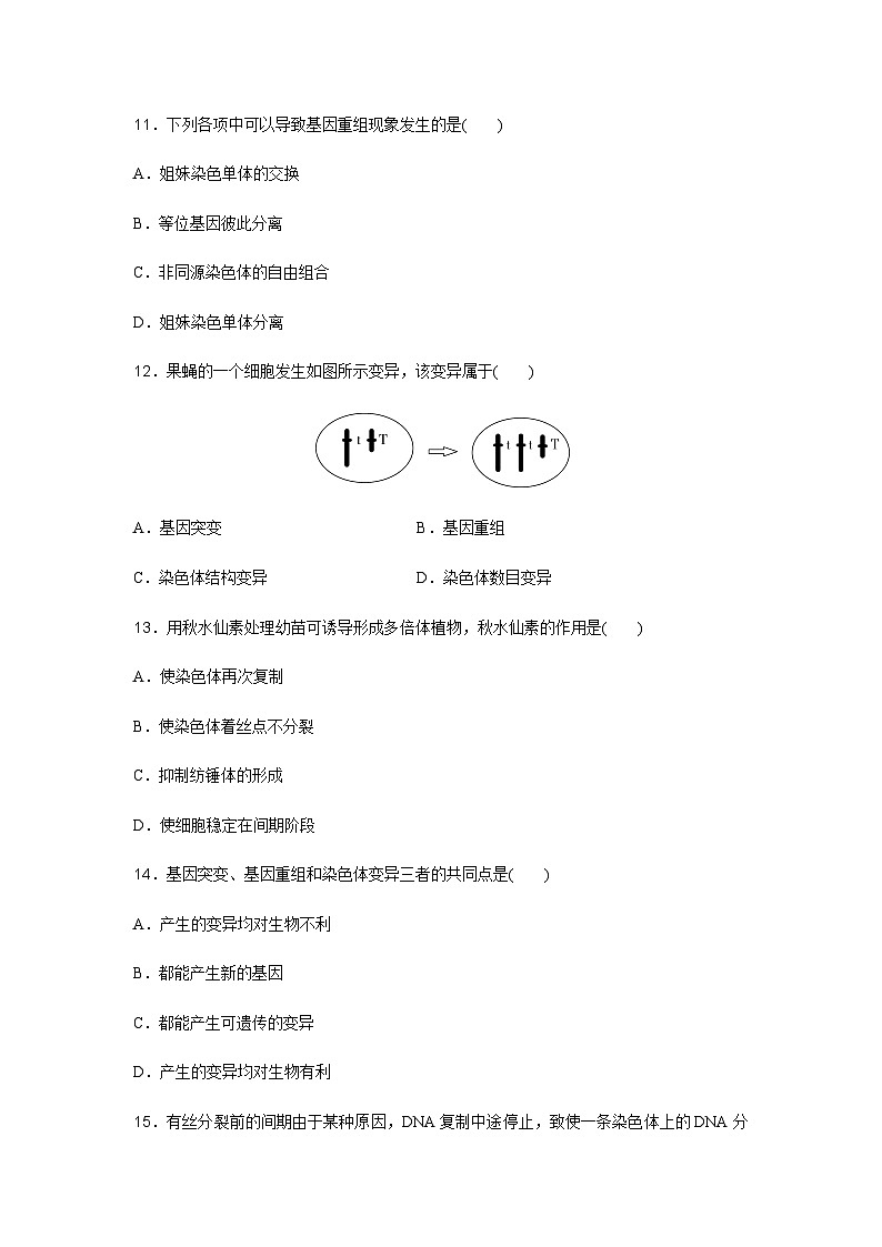 普通高中生物学业水平合格性考试合格演练测评(十)含答案第3页