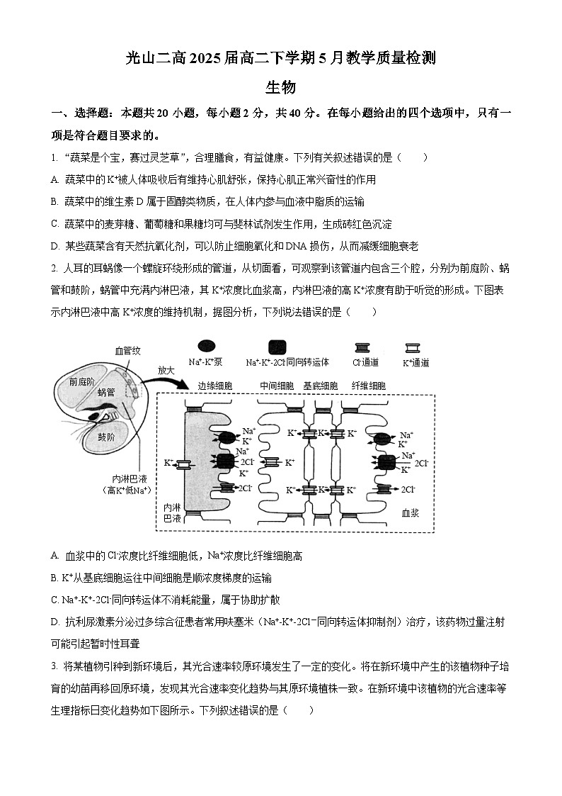 河南省信阳市光山县第二高级中学2023-2024学年高二下学期5月月考生物试题（原卷版+解析版）01
