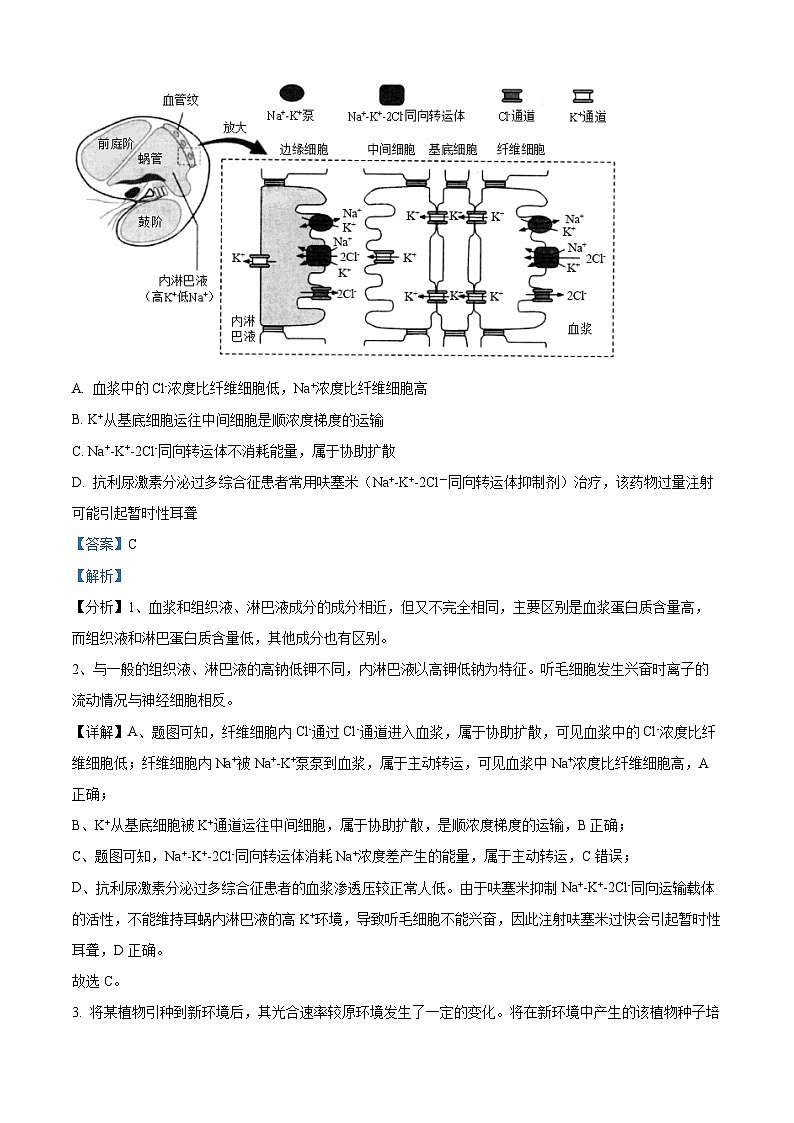 河南省信阳市光山县第二高级中学2023-2024学年高二下学期5月月考生物试题（原卷版+解析版）02