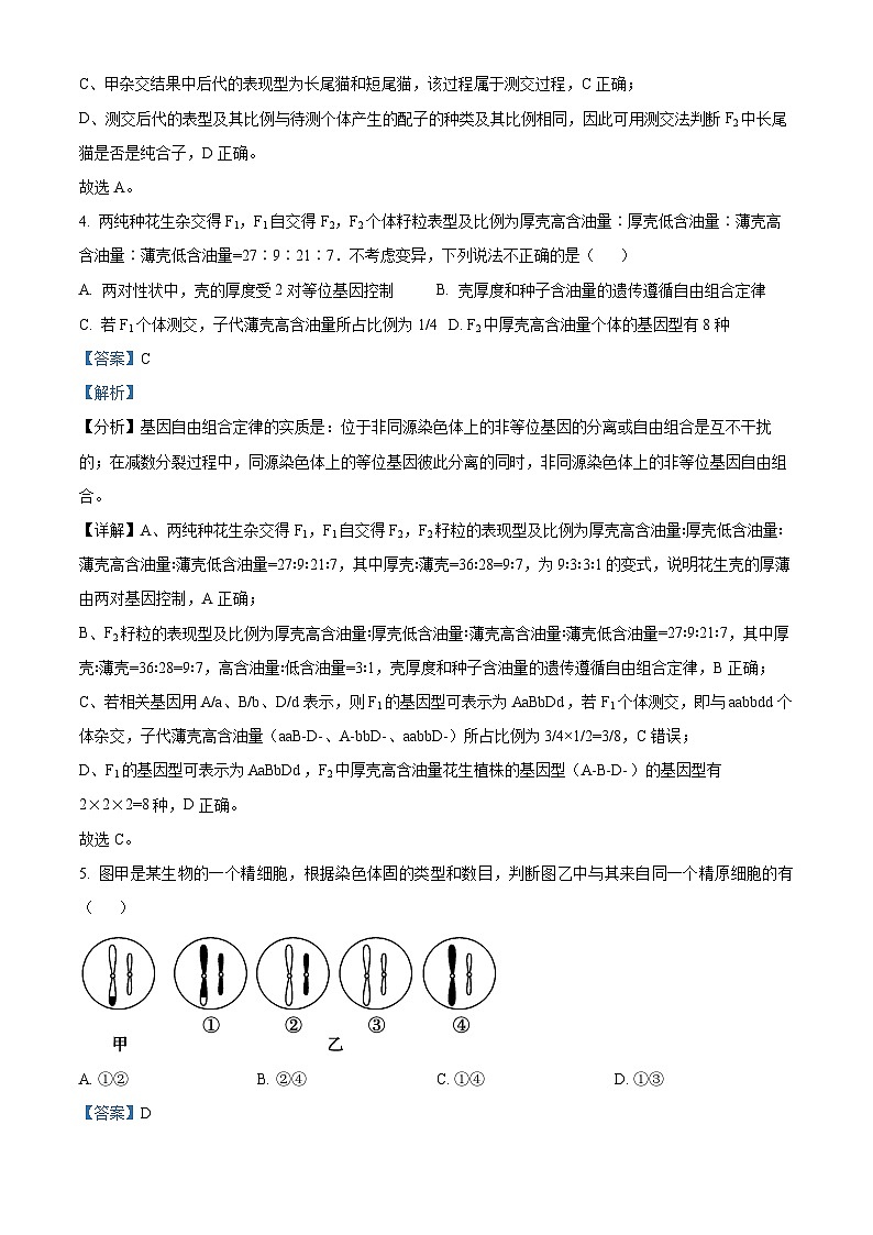 黑龙江省牡丹江市第一高级中学2023-2024学年高一下学期5月期中生物试题（原卷版+解析版）03