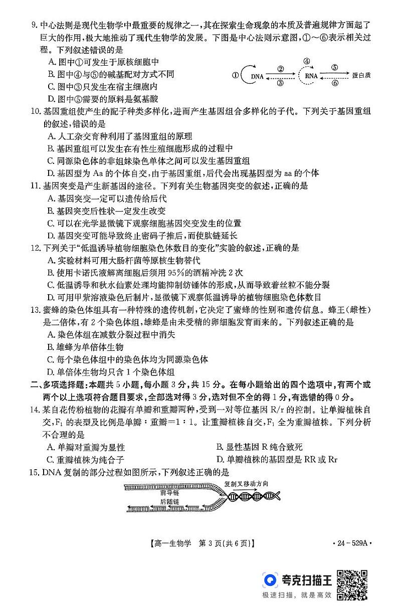 河北省保定市定州市定州市第二中学2023-2024学年高一下学期5月月考生物试题03