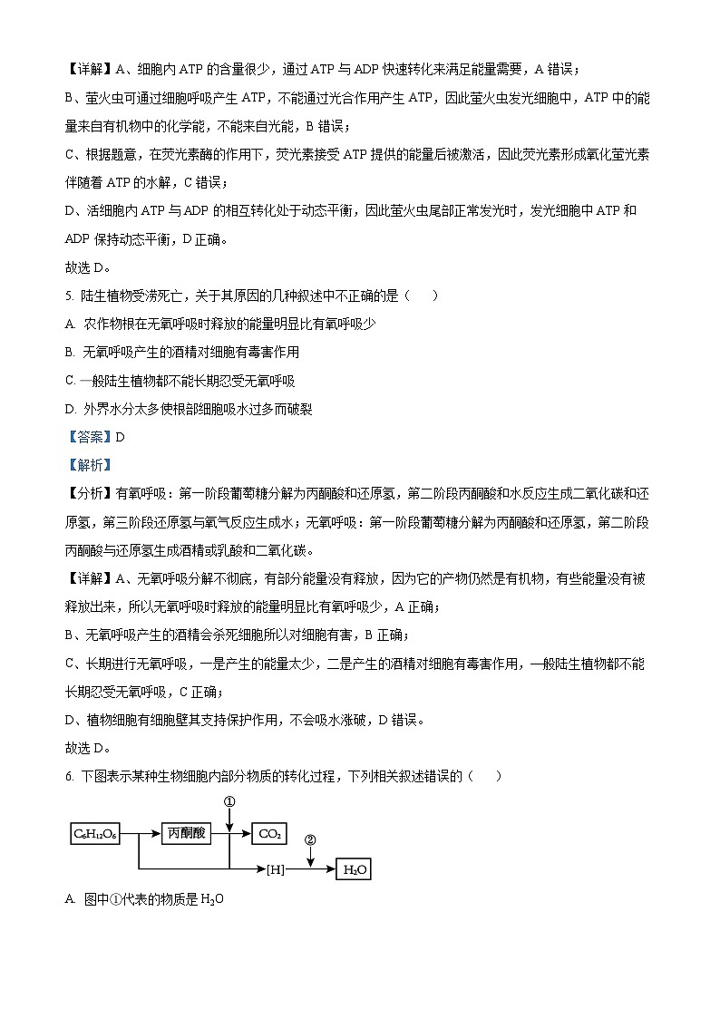 辽宁省朝阳市建平县实验中学2023-2024学年高一下学期5月期中生物试题（原卷版+解析版）03