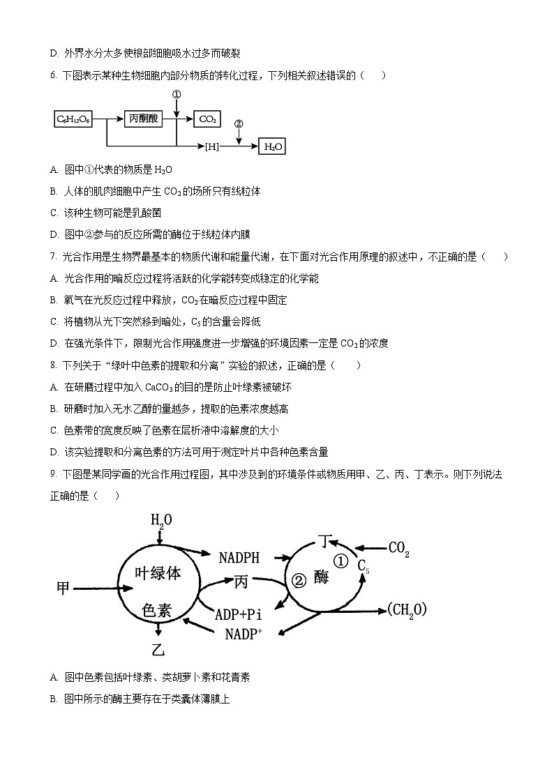 辽宁省朝阳市建平县实验中学2023-2024学年高一下学期5月期中生物试题（原卷版+解析版）02