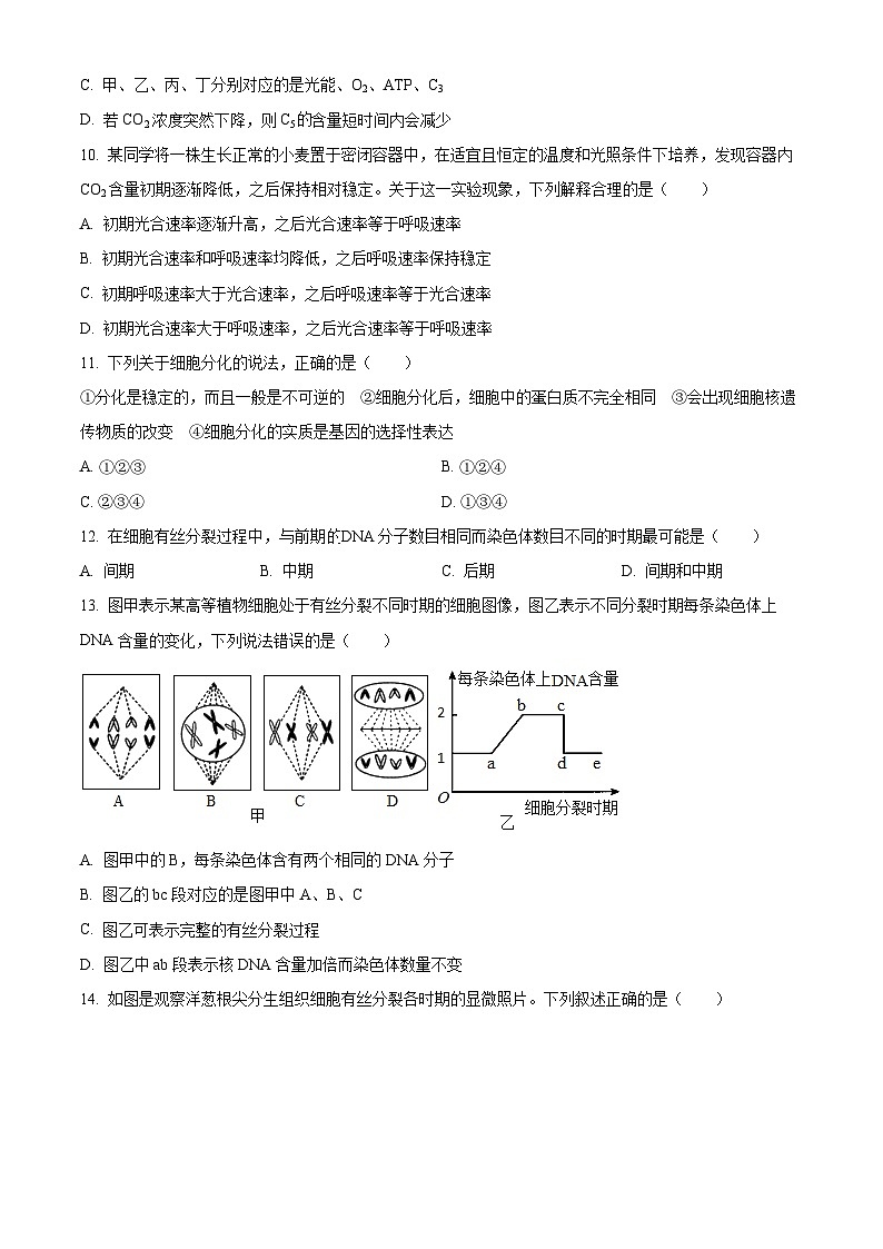 辽宁省朝阳市建平县实验中学2023-2024学年高一下学期5月期中生物试题（原卷版+解析版）03