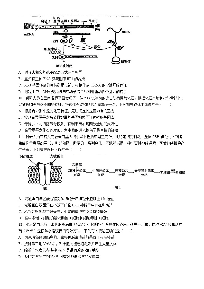 2024届黑龙江省部分学校高三下学期第五次模拟考试生物试题第3页