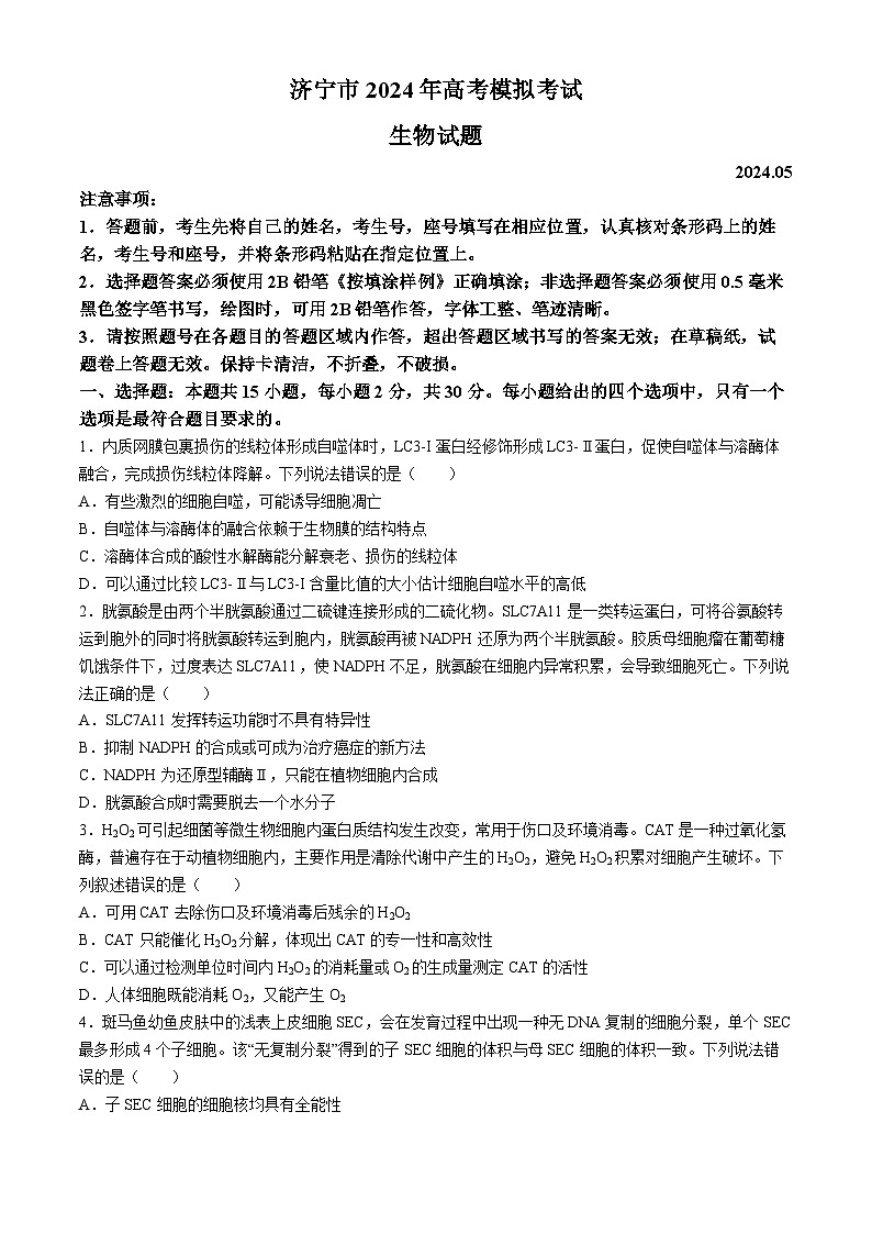 2024届山东省济宁市高三下学期5月三模生物试题01