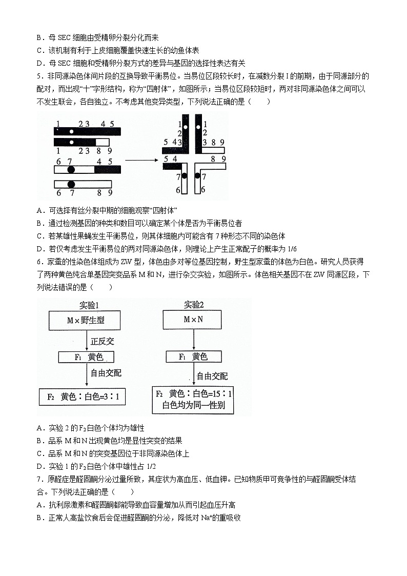 2024届山东省济宁市高三下学期5月三模生物试题02