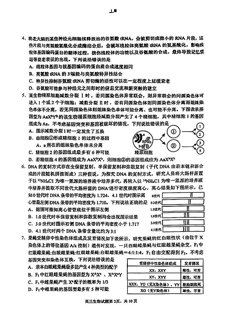 2024届山东省威海市高三二模生物试题(无答案)02