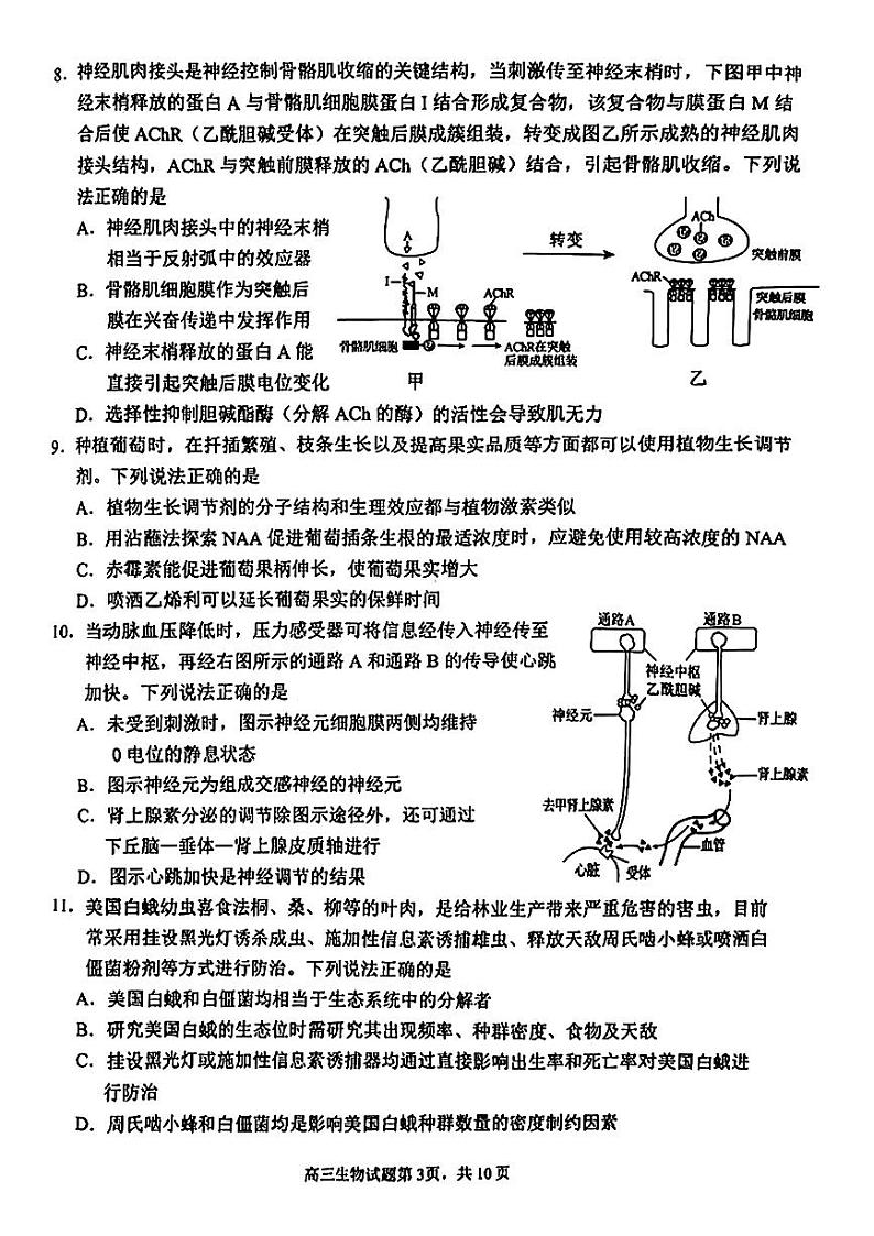 2024届山东省威海市高三二模生物试题(无答案)03