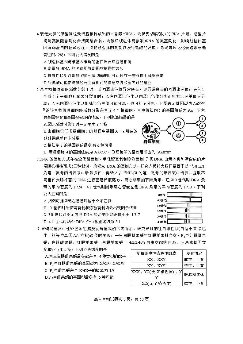 2024届山东省威海市高三二模生物试题(无答案)02