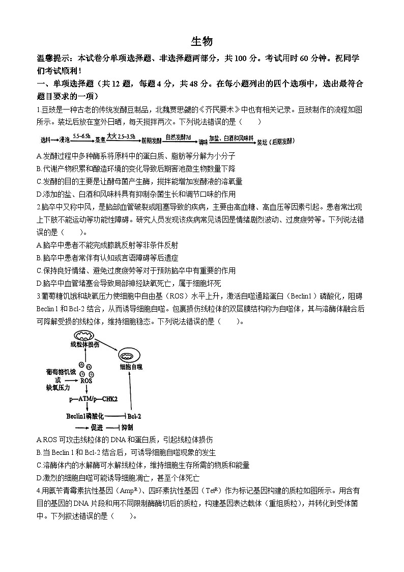 2024届天津市和平区高三三模生物试卷01