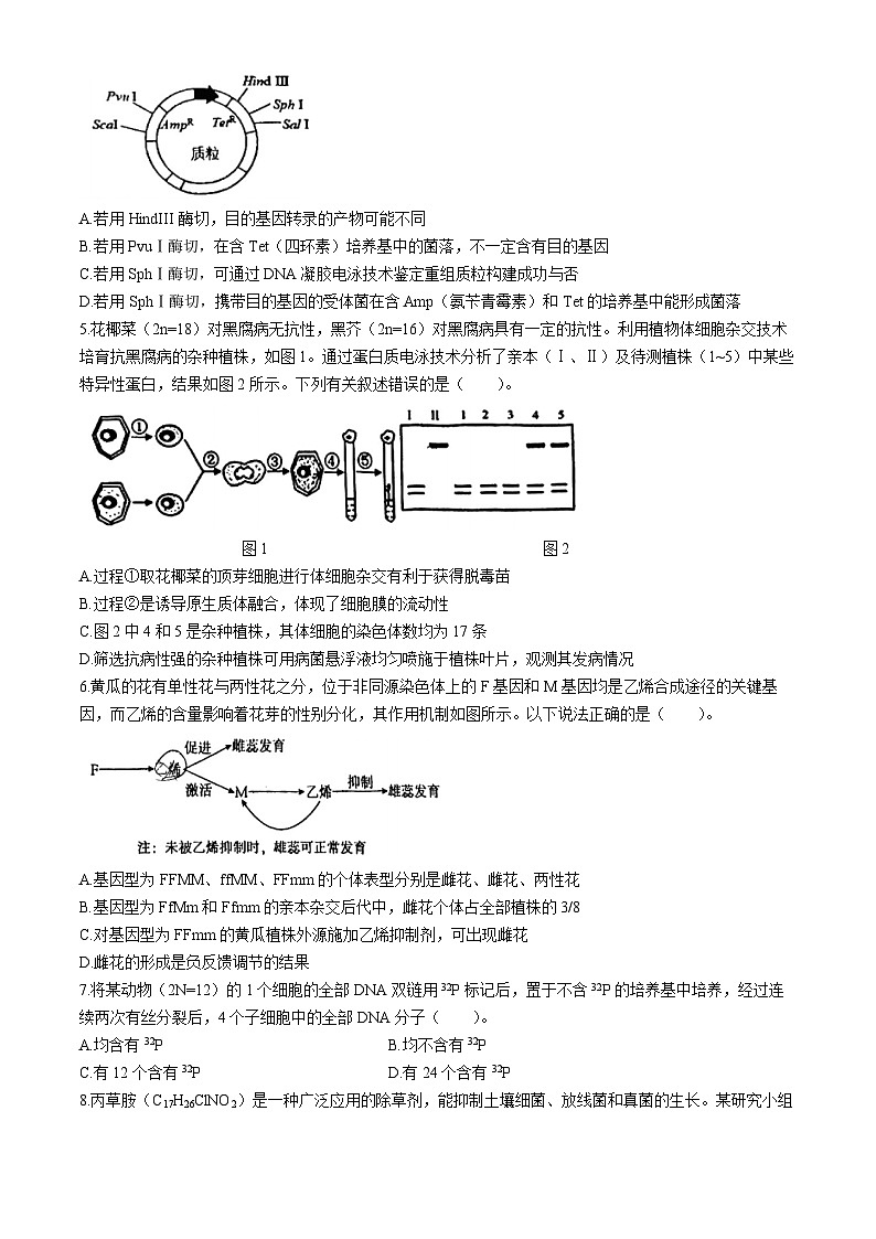 2024届天津市和平区高三三模生物试卷02