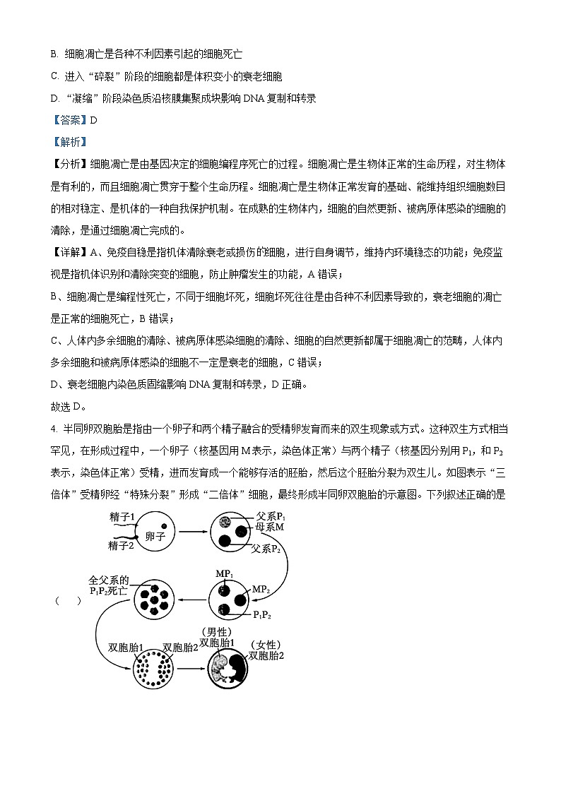 安徽省A10联盟2024届高三下学期最后一卷生物试卷（Word版附解析）03
