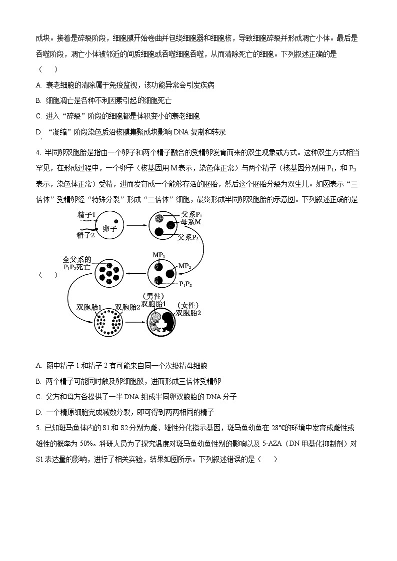 安徽省A10联盟2024届高三下学期最后一卷生物试卷（Word版附解析）02