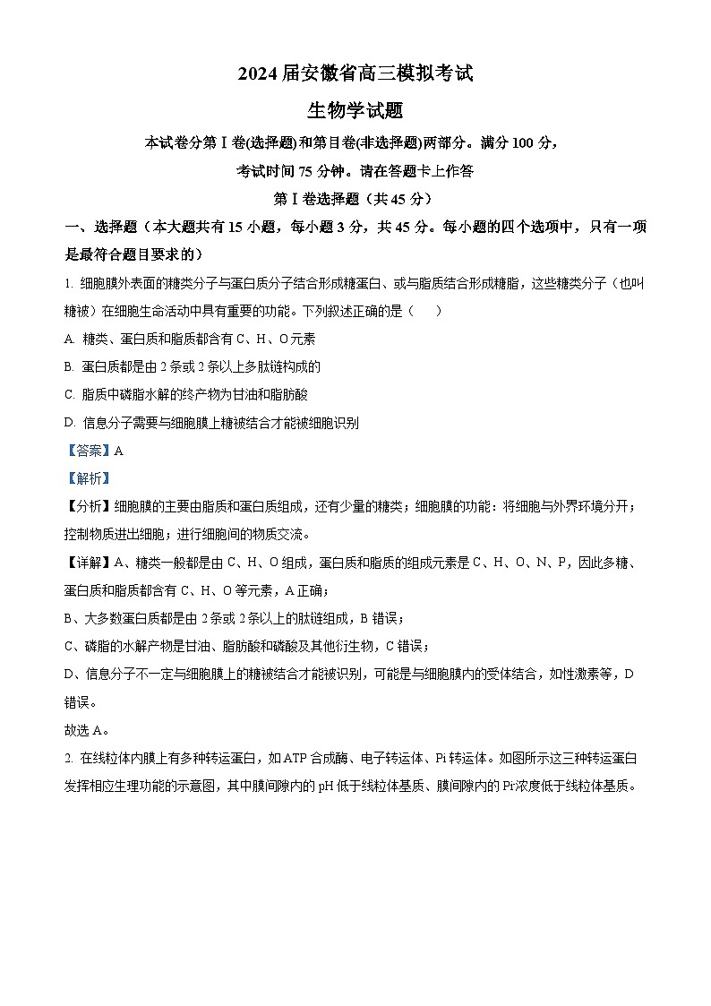 安徽省池州市部分省示范中学2024届高三下学期模拟考试模拟预测生物试题 Word版含解析第1页