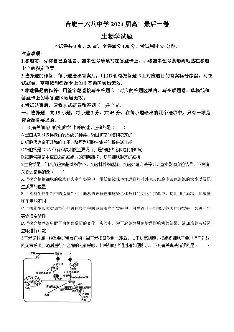 安徽省合肥一六八中学2024届高三下学期最后一卷（三模）生物试卷（Word版附解析）01
