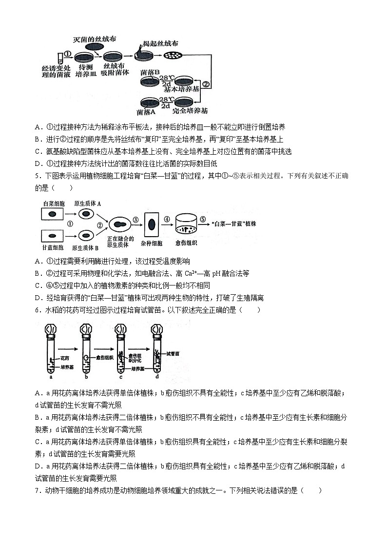 安徽省芜湖市师范大学附属中学2023-2024学年高二下学期5月测试生物试卷（Word版附答案）02