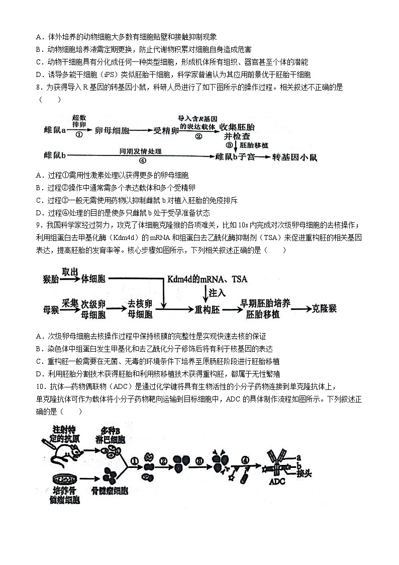安徽省芜湖市师范大学附属中学2023-2024学年高二下学期5月测试生物试卷（Word版附答案）03