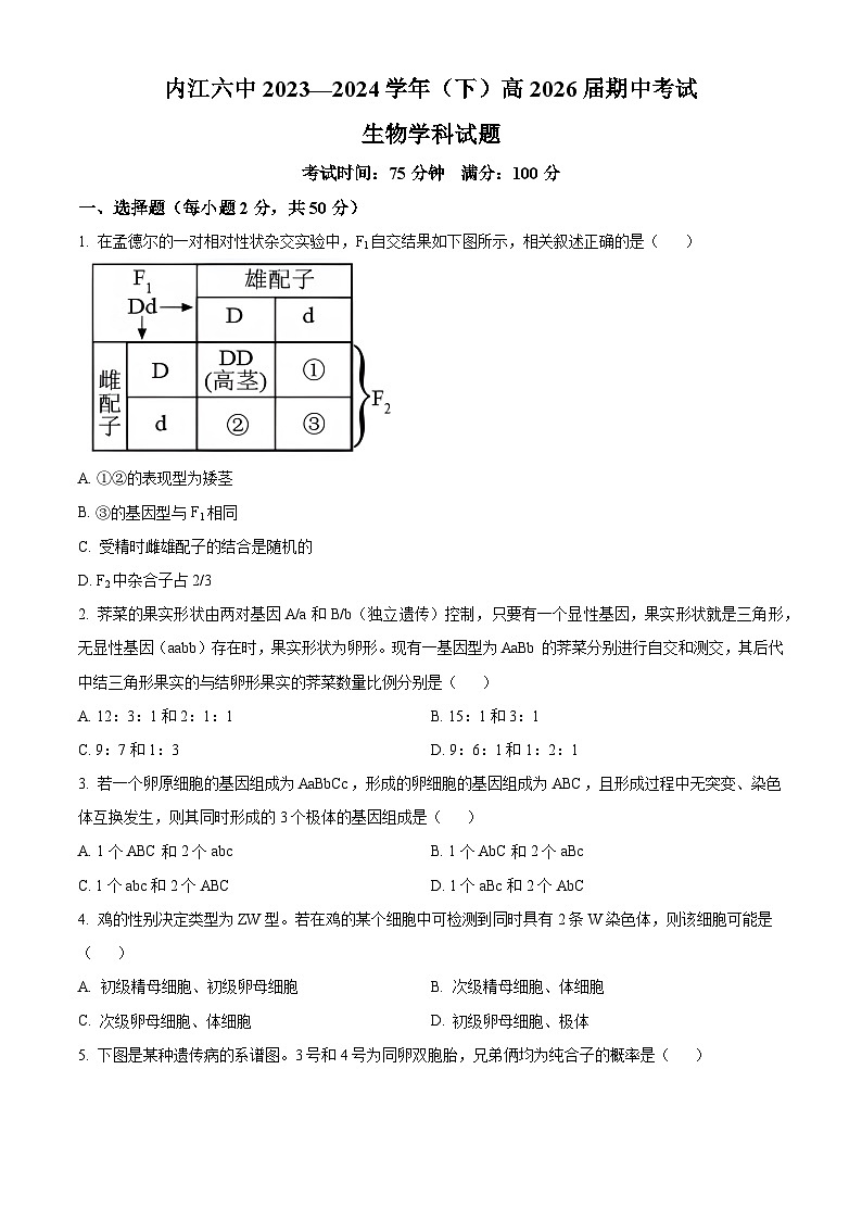 四川省内江市第六中学2023-2024学年高一下学期期中考试生物试卷（Word版附解析）01