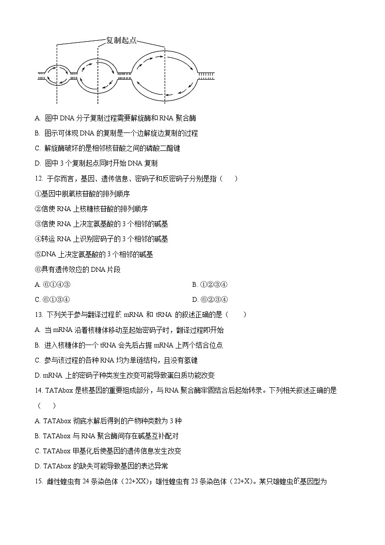四川省内江市第六中学2023-2024学年高一下学期期中考试生物试卷（Word版附解析）03