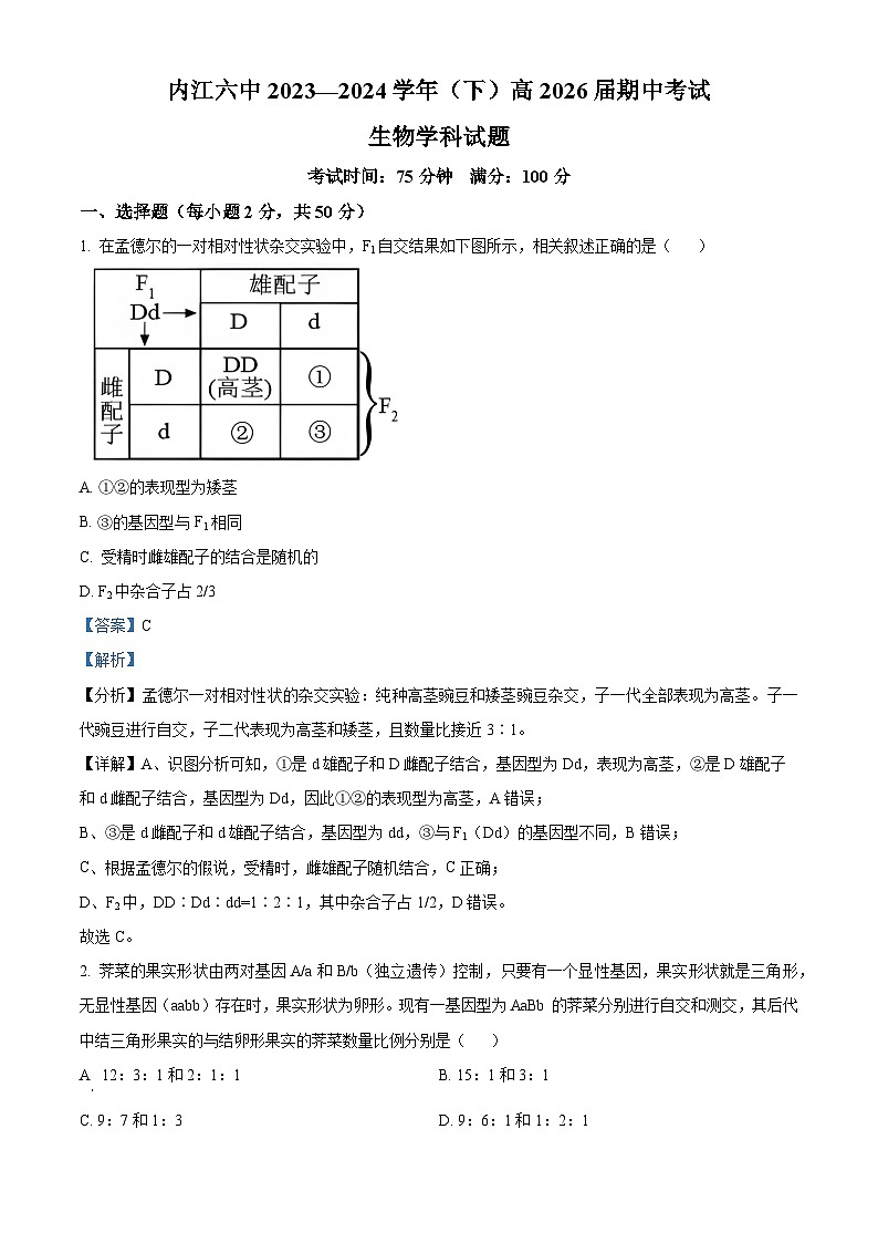 四川省内江市第六中学2023-2024学年高一下学期期中考试生物试卷（Word版附解析）01