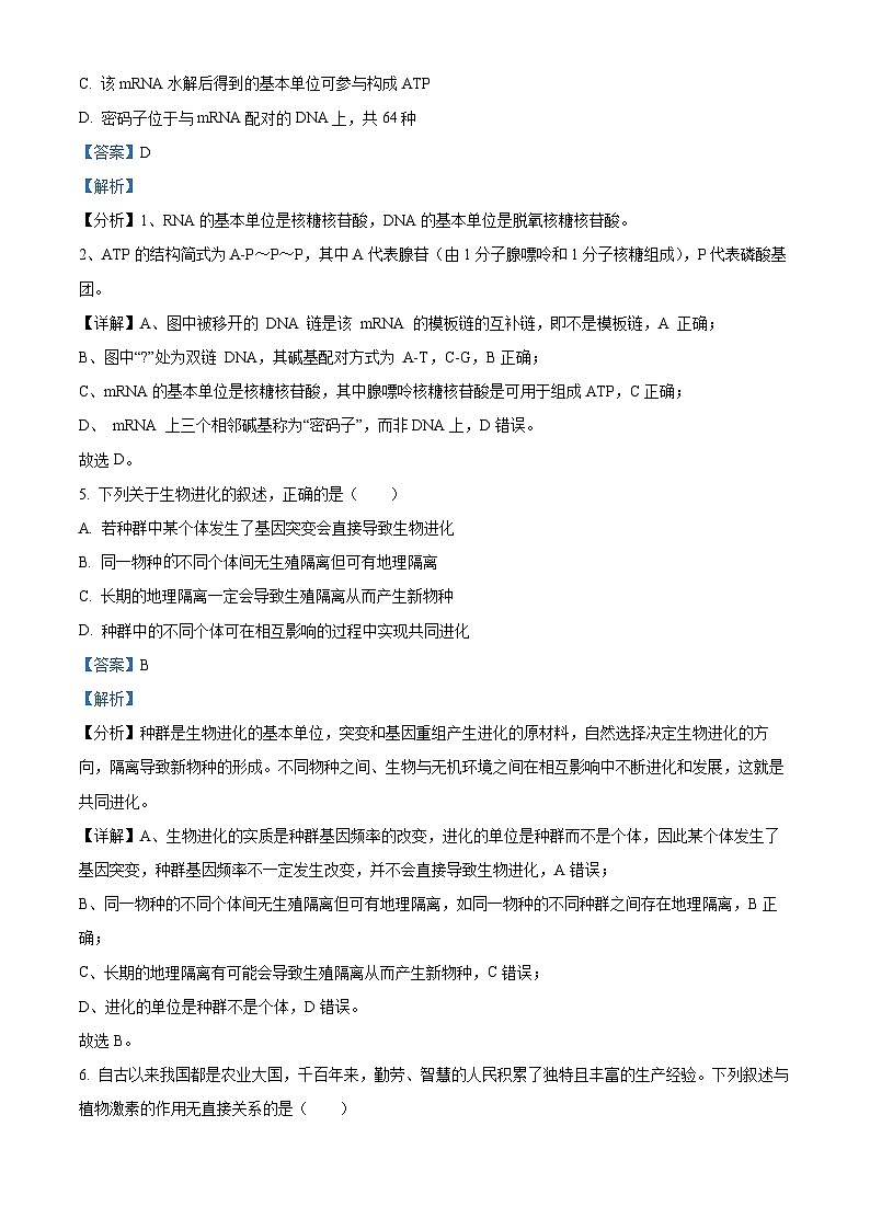 四川省成都市第七中学2024届高三下学期5月模拟考试生物试卷（Word版附解析）03